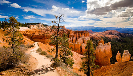 Bryce Canyon Rim Trai